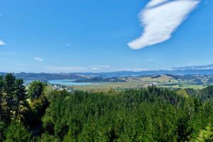 a bird flying over a forest with a lake at Kauri Cabins Tranquil Retreat in Whitianga