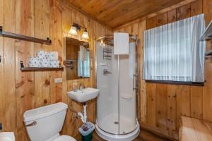 a bathroom with a toilet and a shower and a sink at TB3 Thunder Bay Resort Cabin 3 in Phelps