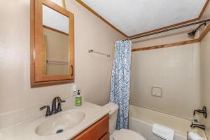 a bathroom with a sink and a toilet and a mirror at TB-15 Thunder Bay Resort Cabin15 in Phelps +10 photos