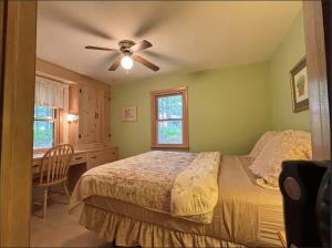 a bedroom with a bed and a desk and a ceiling fan at Bayview Resort Sunset Lookout Cabin 6 in Saint Germain