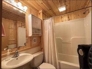 a bathroom with a sink and a toilet and a shower at Bayview Resort Sunset Lookout Cabin 6 in Saint Germain +23 photos