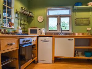 a kitchen with green walls and a counter top at Owls Nest in Stradbroke +15 photos