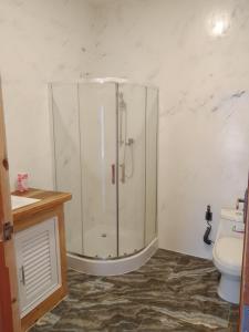 a bathroom with a shower and a toilet at บ้านพัก กามู Gamoo homestay in Chom Thong