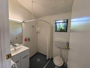a bathroom with a toilet and a sink and a mirror at Judges Pool Motel Turangi in Turangi +72 photos