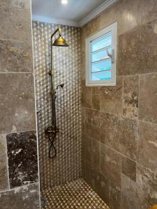 a bathroom with a shower and a window at Les panoramiks des Makes in Saint-Louis +77 photos
