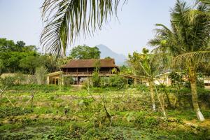a house in a field with a palm tree at Bavieco - Nghỉ dưỡng, Dưỡng lão & Chữa bệnh theo Đông y in Ba Vì