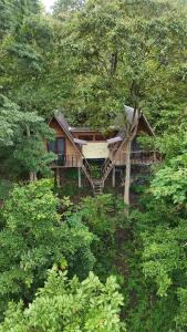 a house in the middle of a forest of trees at Fandee Island - Treehouses, Tiny Houses & Zipline - Tad Lo, Boloven Loop Pakse in Tad Lo