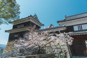 a building with a flowering tree in front of it at Bouzantei Kotobuki in Ueda