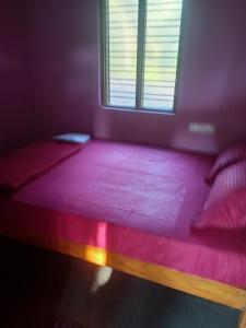 Gallery image of Chaithnya farm house in Gokarn