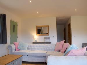 a living room with a blue couch and pink pillows at Red Kite Lodge - Uk32610 in Old Radnor