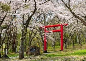 a red torii gate in a park withakura trees at Pension Kamifuji in Semi