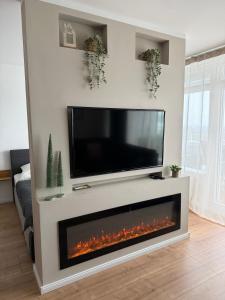 a living room with a tv above a fireplace at FeWo am Hansa Park in Sierksdorf