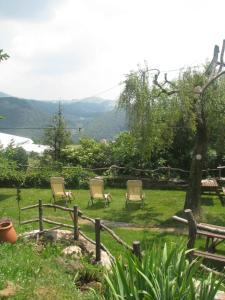 A garden outside Albergo Ristorante Leso