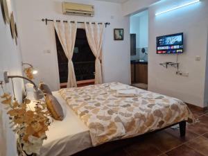 Gallery image of Cozy Cabana - Costa Del Sol in Madgaon +12 photos