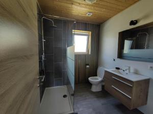 a bathroom with a shower and a toilet and a sink at Appartement Terrasse Jacuzzi du Pont Alsort 2-2 in Froid-Chapelle +28 photos