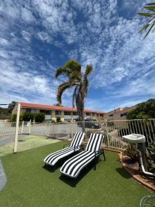 two lounge chairs and a table and a palm tree at Ocean View Villas in Geraldton