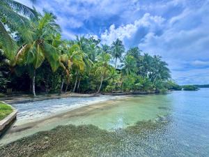 a beach with palm trees and the water at Bocas Sunset Beach House in Bocas Town +44 photos