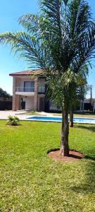 a palm tree in a yard in front of a house at Villa with 4 bedrooms in Lusaka