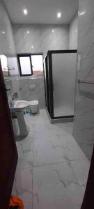 a bathroom with a shower and a sink and a toilet at Villa with 4 bedrooms in Lusaka +27 photos