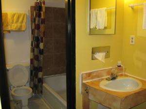 La salle de bains est pourvue d'un lavabo, de toilettes et d'une douche. dans l'établissement Royal City Motor Inn, à Brooks
