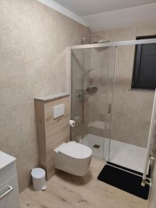 a bathroom with a toilet and a glass shower at Villa Germini in Polje Čepić