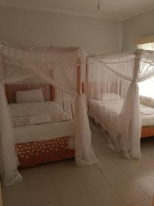 two beds with white drapes in a room at Taita Rocks Hotel in Wundanyi