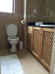 a bathroom with a toilet and a sink at Keurbooms River Lodge 1311 in Plettenberg Bay +6 photos