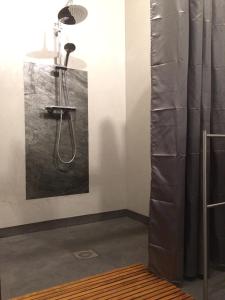 a bathroom with a shower with a painting on the wall at Les Sittelles de Bamboche in Saint-Symphorien-sur-Coise