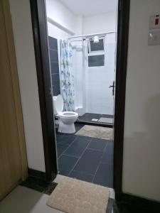 a bathroom with a toilet and a shower at LJ Homes in Nairobi +2 photos