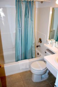 a bathroom with a toilet and a blue shower curtain at Central Motel in Great Falls