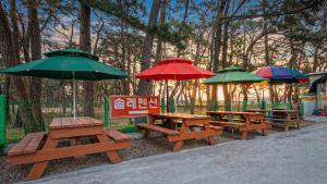 a group of picnic tables with umbrellas in a park at Gyeongju Gamposole Pension in Gyeongju