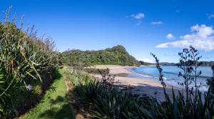 a view of the beach from the shoreline at Hot Water Hideaway in Hotwater Beach