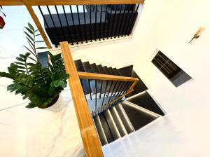 a staircase with a potted plant next to a stair case at Skyscenic Munnar in Munnar +12 photos