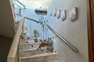 a stairway with two dogs sitting on a railing at Villa Leonidas in Nea Vrasna +39 photos