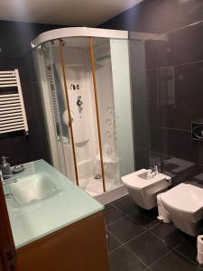 a bathroom with a shower and a sink and a toilet at House Infantado Loures in Loures +25 photos