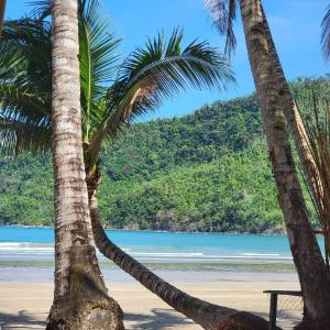 two palm trees on a beach with the ocean at Island Crib in El Nido