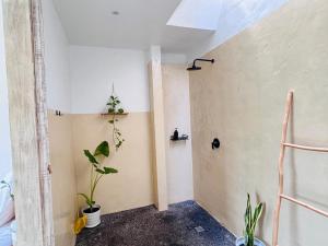 a room with potted plants on the walls at Trika Surfcamp Bali in Airsatang