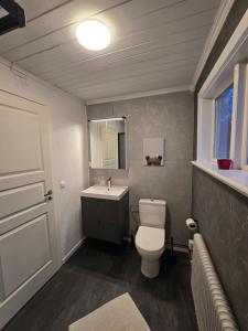 a bathroom with a white toilet and a sink at Ferienhaus Björkebo in Stöllet