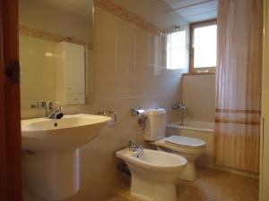 Apartaments La Llucana tesisinde bir banyo