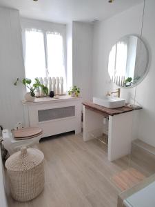 a bathroom with a toilet and a sink and a mirror at Le Flow de Ginette in La Celle-sous-Gouzon