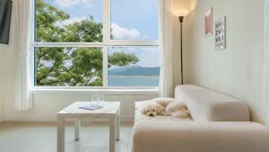 a white dog laying on a couch in a room with a window at Yeosu Jangsuri Poolvilla&Spa Pension in Yeosu