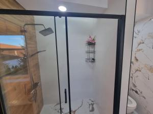 a bathroom with a glass shower with a toilet at Villa Nikol Apartment #4 in Raduil +22 photos