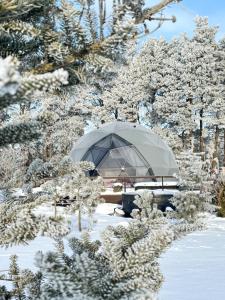 ein Regenschirm, der im Schnee in einem Garten liegt in der Unterkunft Sëtnowa Glamping in Sitno