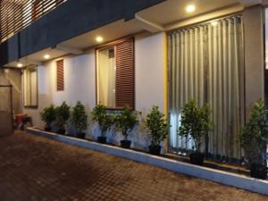 a row of potted plants on the side of a building at Villa Rustic in Negombo