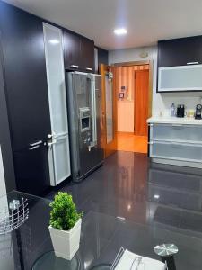 a kitchen with a black refrigerator and a potted plant at House Infantado Loures in Loures