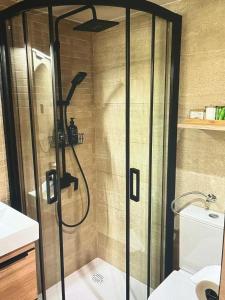 a shower with a glass door in a bathroom at Molo selo area in Stari Grad +7 photos