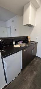 a kitchen with a sink and a counter top at Gold Apartmani Kozarac in Kozarac +25 photos