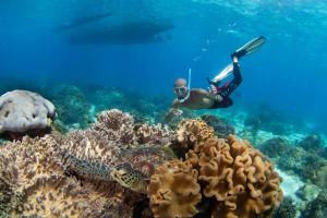 Clients de Baki Divers