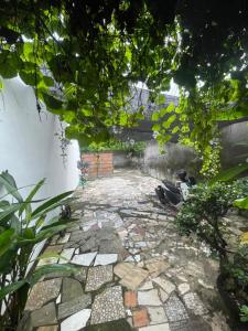 a garden with a stone walkway with plants at Ariani Villa in Jimbaran