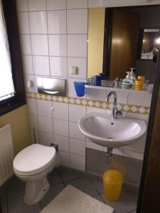 a bathroom with a toilet and a sink at Haus H7 in Großwürden